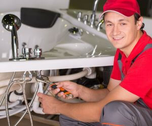 About Septic Pumping Service Watson, IL